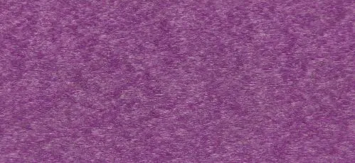 Bright-purple.webp