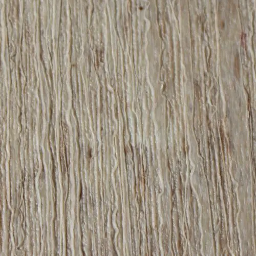 Wood-grain-birchwood.webp