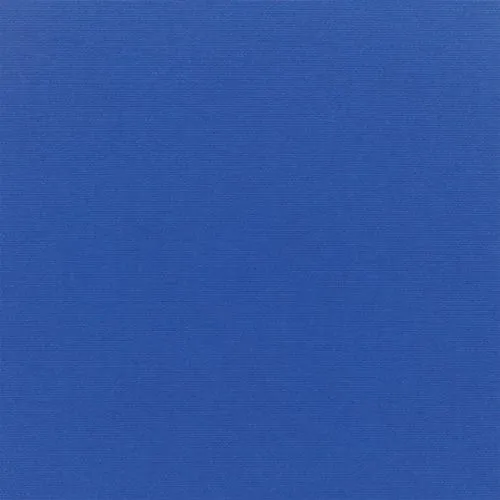 Canvas-true-blue.webp